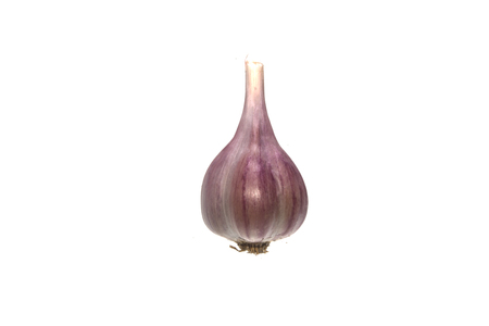 garlic isolated on white backgroundの写真素材
