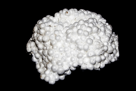 styrofoam isolated on black background