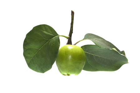 apple isolated on white backgroundの写真素材