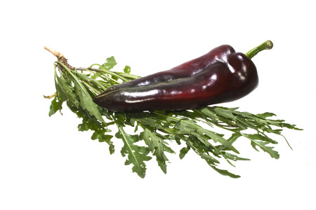 Rocket salad isolated on white backgroundの写真素材