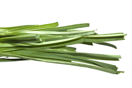 green onion isolated on white backgroundの写真素材
