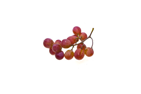 grapes isolated on white backgroundの写真素材