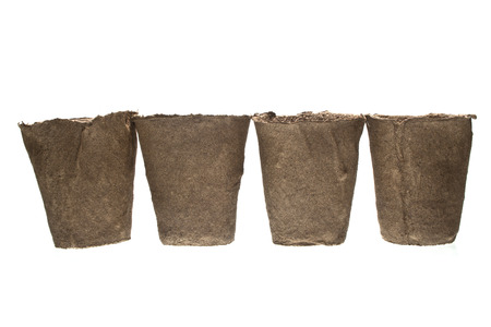 peat cup isolated on white backgroundの写真素材