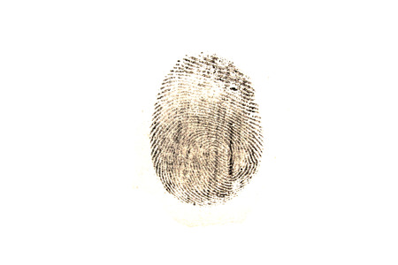 fingerprint isolated on white backgroundの写真素材