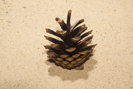 cone isolated on a sandy background