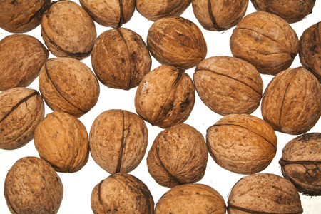 nut isolated on white backgroundの写真素材