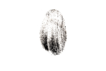 fingerprint isolated on white backgroundの写真素材