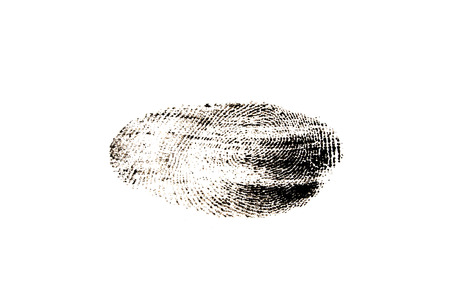 fingerprint isolated on white backgroundの写真素材