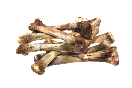 bone isolated on white backgroundの写真素材