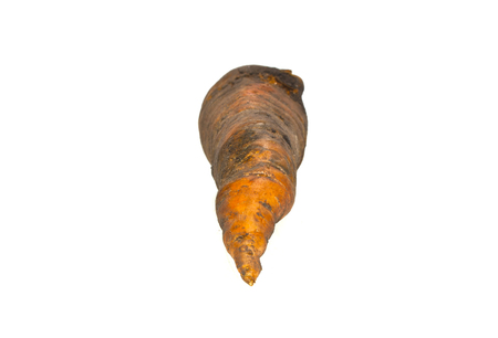 carrot isolated on white background