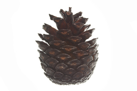 cone isolated on white backgroundの写真素材