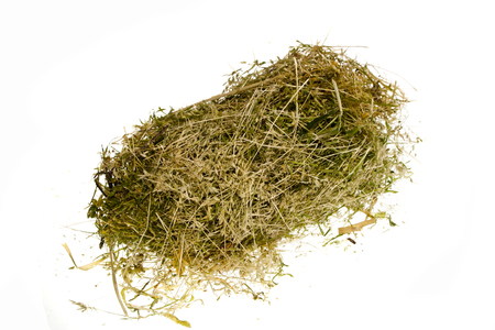 dry grass isolated on white backgroundの写真素材