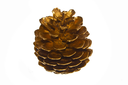 cone isolated on white backgroundの写真素材