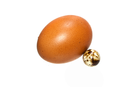 egg isolated on white backgroundの写真素材
