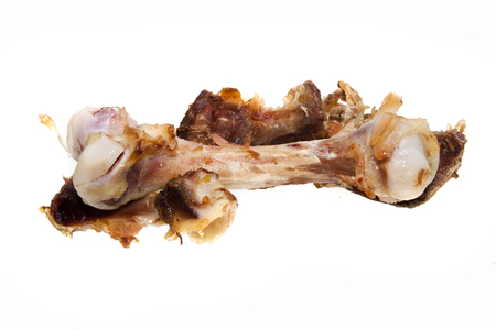 bone isolated on white backgroundの写真素材