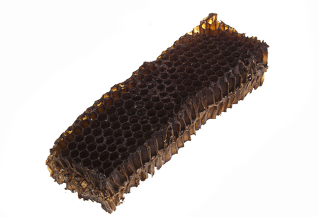 honeycomb isolated on white backgroundの写真素材