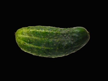 cucumber isolated on white backgroundの写真素材