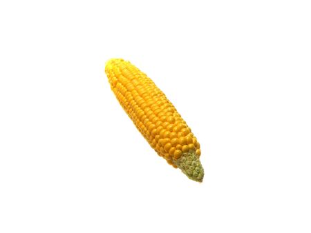 corn isolated on white background
