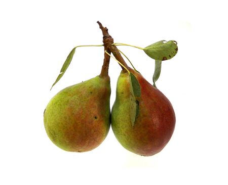 pear isolated on white backgroundの写真素材