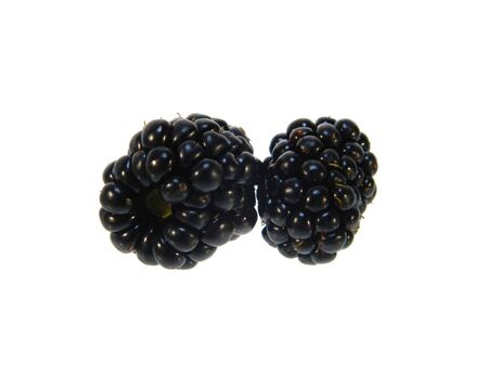 blackberry isolated on white backgroundの写真素材