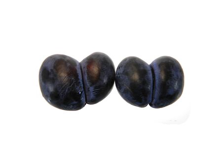 blue plum isolated on white background