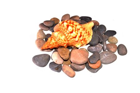 sea stones isolated on white background