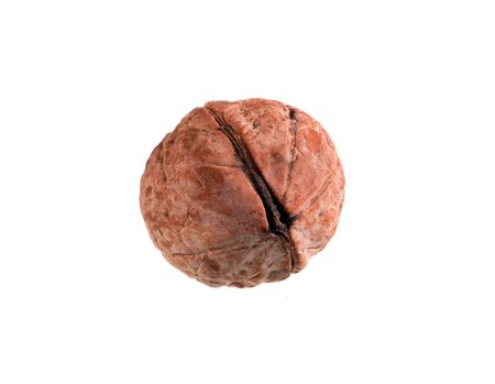 walnut isolated on white background