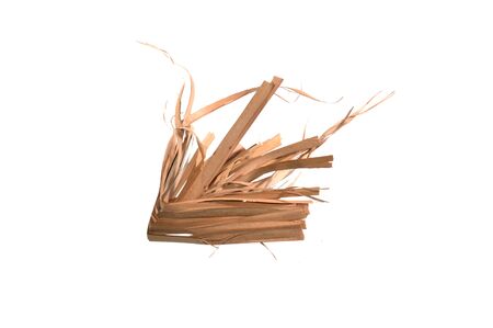 reeds isolated on white backgroundの写真素材