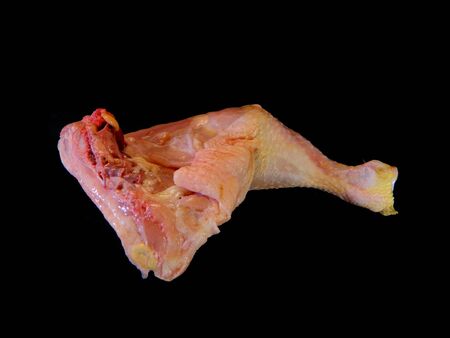 meat isolated on white backgroundの写真素材