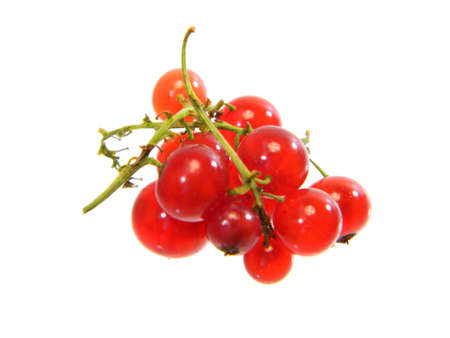 red currant isolated on white backgroundの写真素材