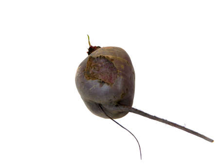 red beet isolated on white background