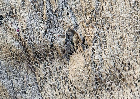 old rag close-up shotの写真素材