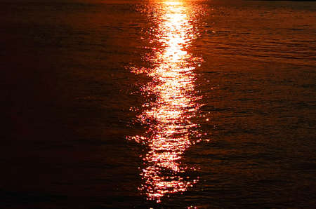 river in the evening shot-close-up