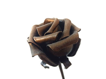 flower isolated on white backgroundの写真素材