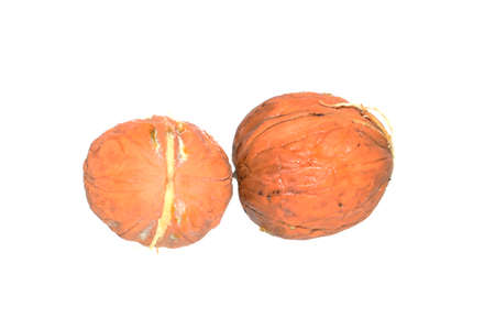 walnut isolated on white background