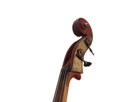 musical instrument on a white background - close-upの写真素材