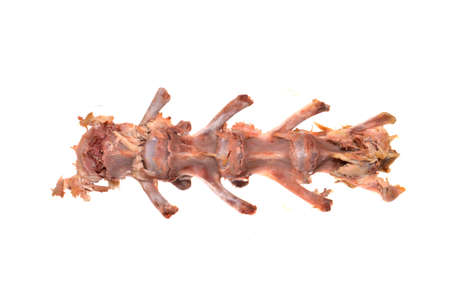 rabbit bones isolated on white backgroundの写真素材