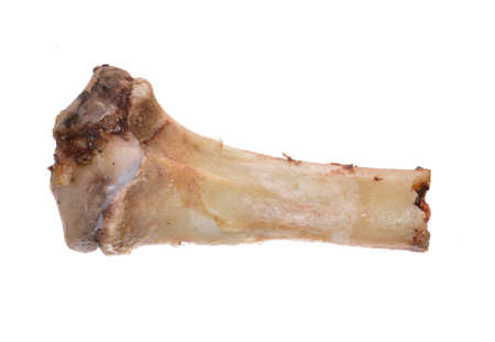 pork bone isolated on white background - close-upの写真素材