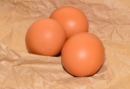 chicken egg isolated on white background