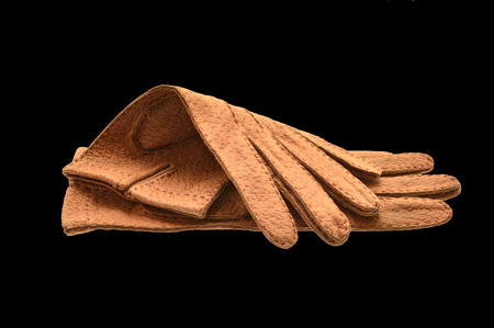 gloves isolated on white backgroundの写真素材