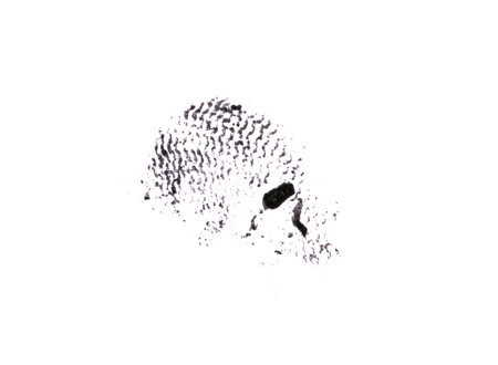 fingerprint isolated on white backgroundの写真素材