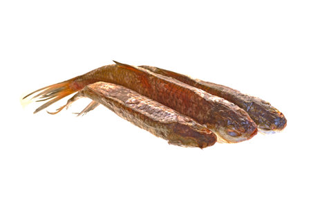 dried fish isolated on white backgroundの写真素材