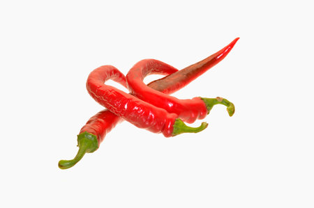 chili pepper isolated on white backgroundの写真素材