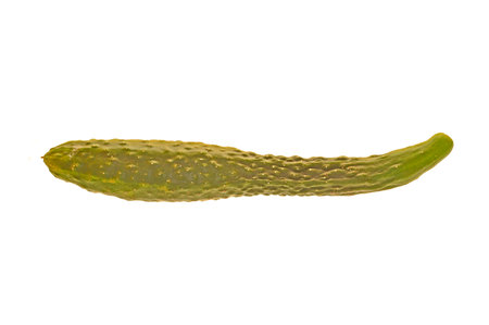 cucumber isolated on white backgroundの写真素材