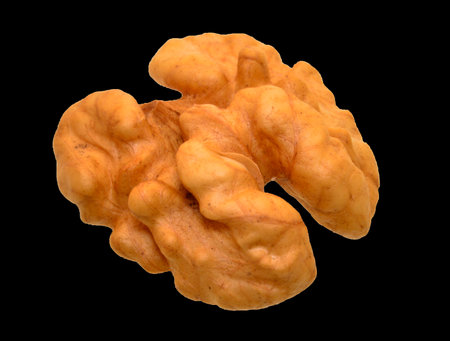 walnut isolated on white backgroundの写真素材