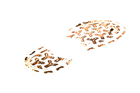 shoe print isolated on white backgroundの写真素材
