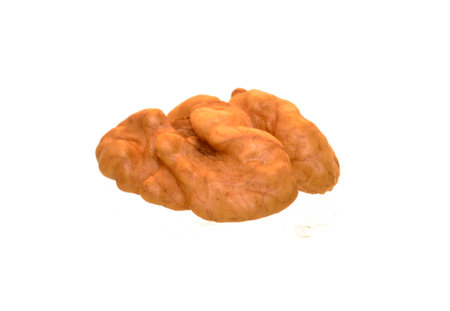 walnut isolated on white backgroundの写真素材