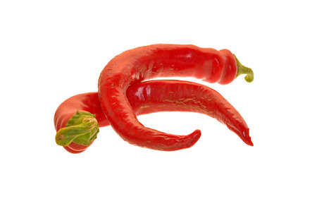 chili pepper isolated on white backgroundの写真素材