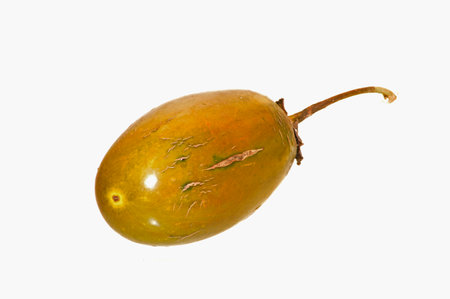eggplant isolated on white backgroundの写真素材