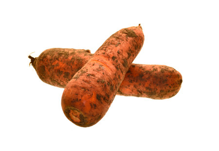 carrot isolated on white backgroundの写真素材